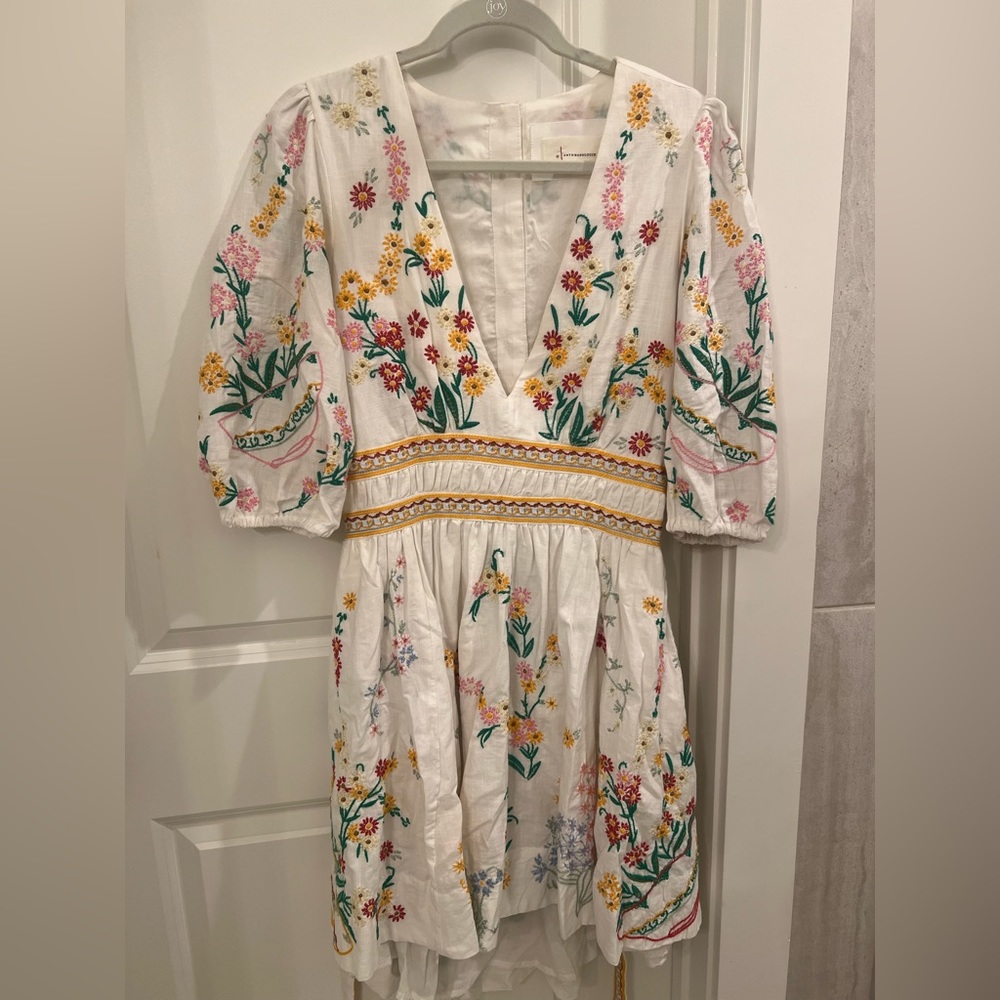 Embroidered Mini Dress